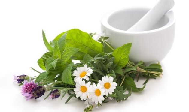 Plantele medicinale stau la baza remediilor pentru efectele externe asupra articulației genunchiului afectată de artroză
